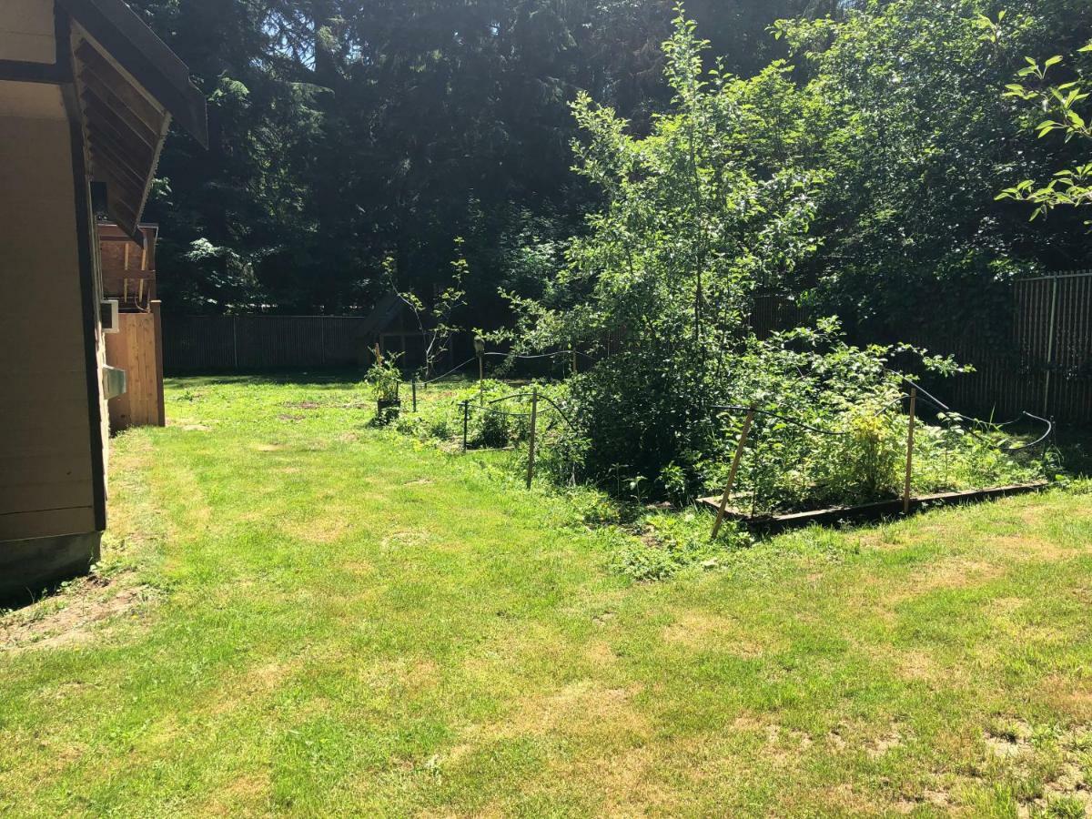 Blackberry Bunkhouse Ashford Esterno foto